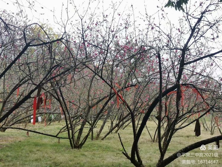 1647221830788215.jpeg 085e3e90af954f4aa032cca5dcb26b9e.jpeg