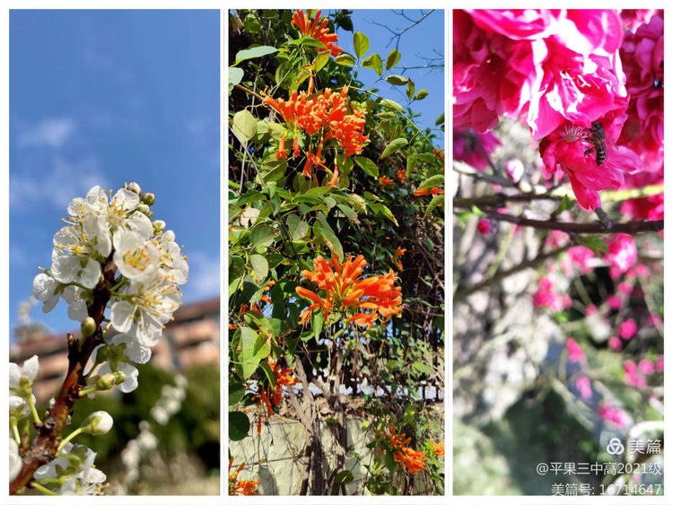 1647221970886113.jpg 99a78d5e-5055-4db3-856f-7c2a4123844e.jpg