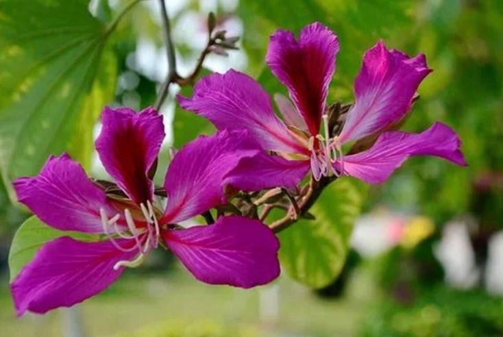 1648038292880334.jpg 图片1.jpg