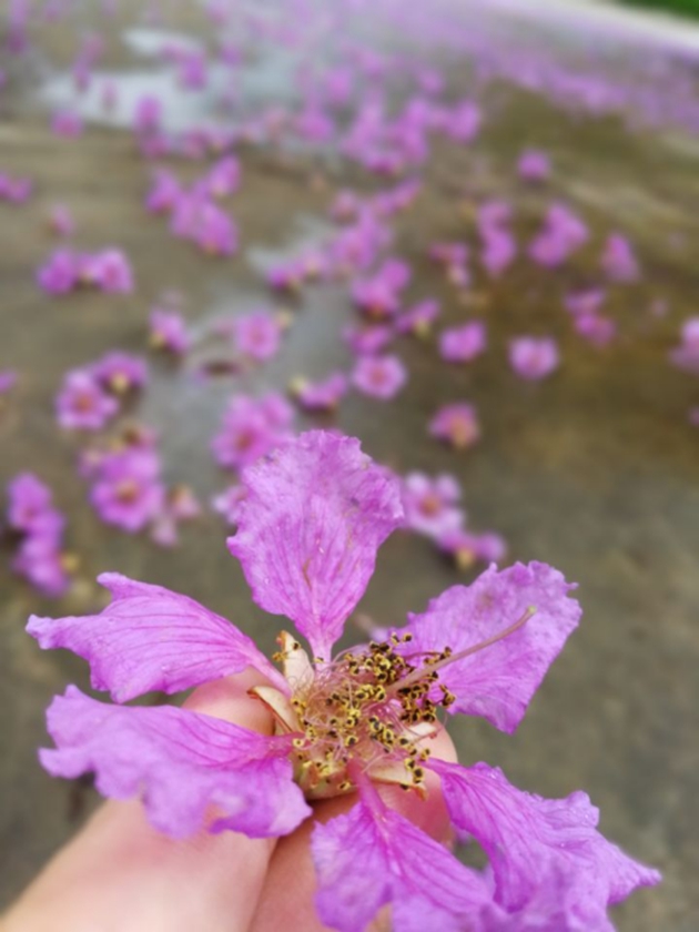 1656936629859457.jpg 不负热爱,有你精彩600.jpg