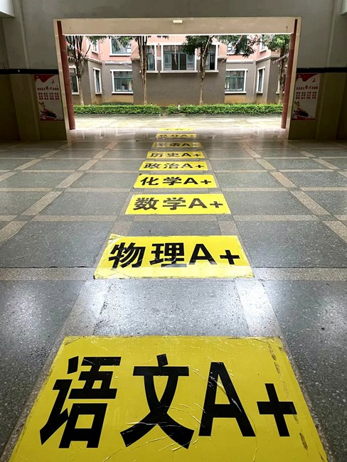 1687598590389100.jpg 103.jpg